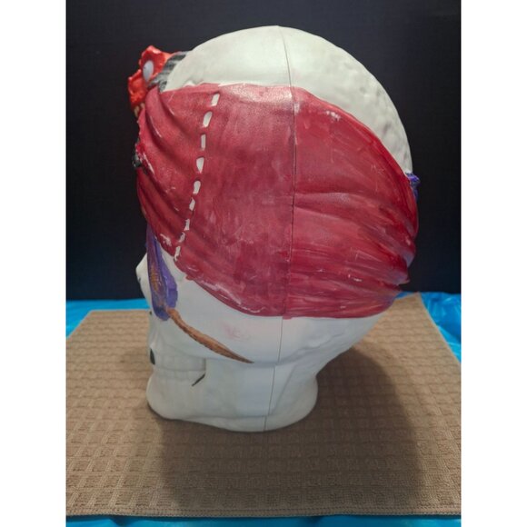 Pirate Dinosaur Skull Halloween Decor Prop. Push His Eyeball He Talks. - Picture 2 of 10